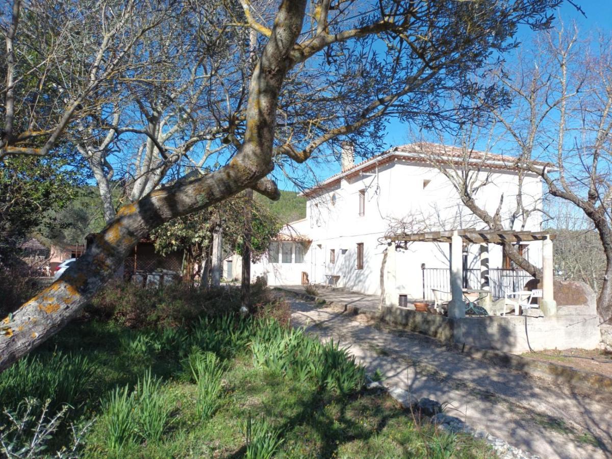 Gite Zen Carnoules  Exterior photo